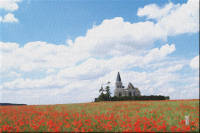 l'église de Saint-Sulpice dans les coquelicots