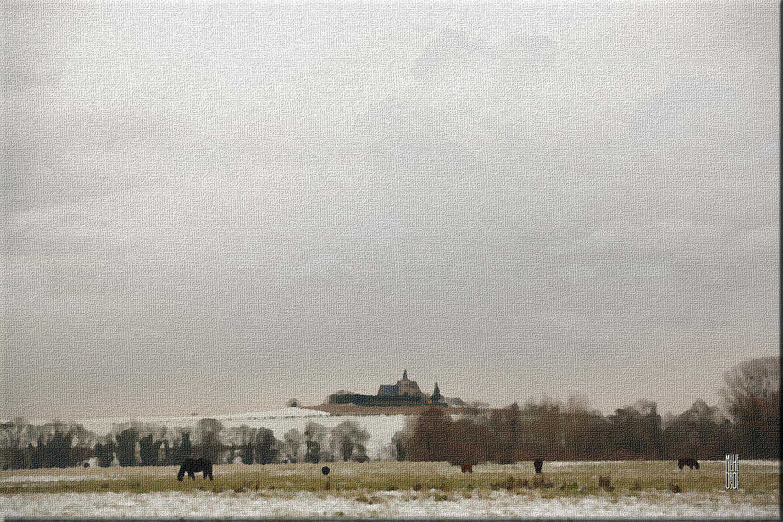 l'église et les chevaux