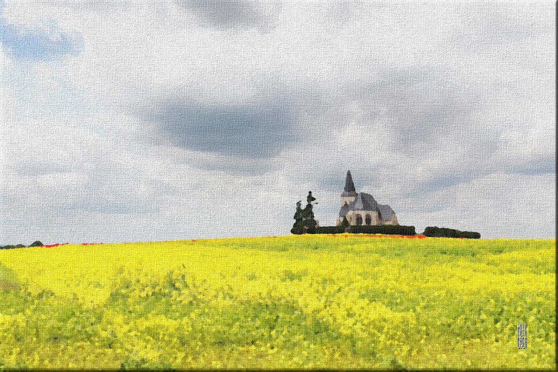 l'église dans le colza