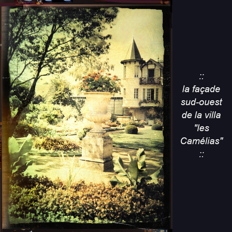 villa les Camélias