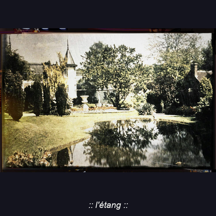 l'étang'
