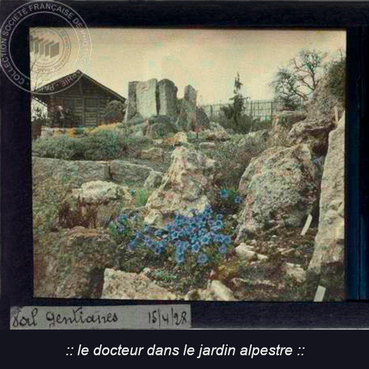jardin alpin