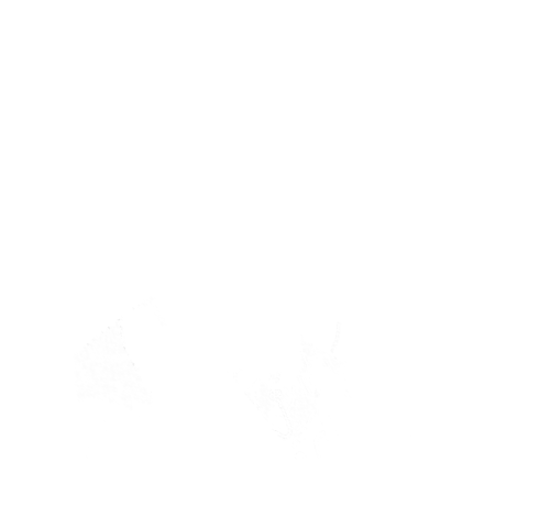 dessin du docteur Albert Marçais