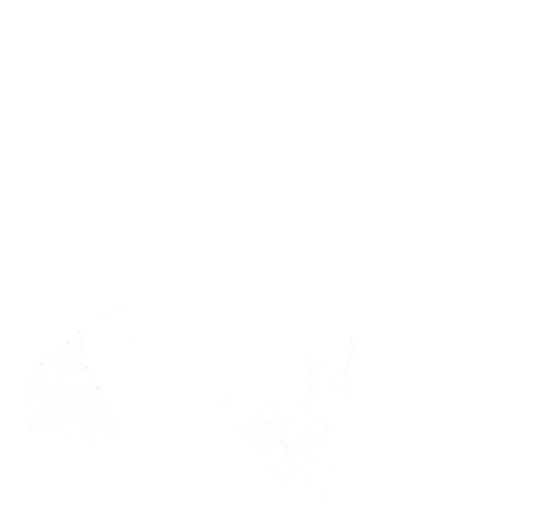 vers le menu thémathique dessin du docteur Albert