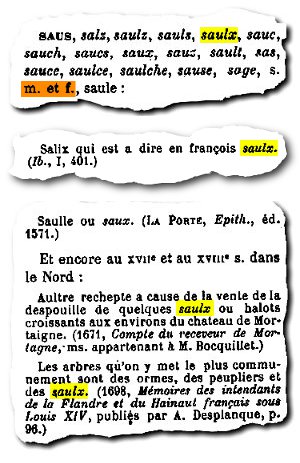 extrait du dictionnaire de l'ancienne langue française de Frederic Godefroy