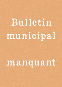 bulletin municipal manquant
