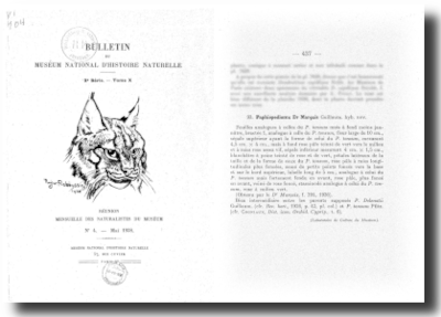 bulletin du muséum national d'histoire de 1938