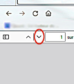 visualisation d'un fichier pdf, nouvelle page